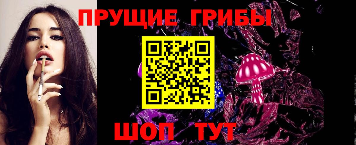 Псилоцибиновые грибы Psilocybe  Вход с VPN  сколько стоит  Сланцы 